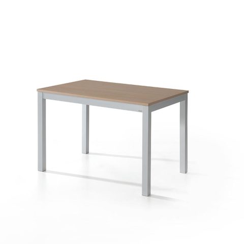 Mesa Leo